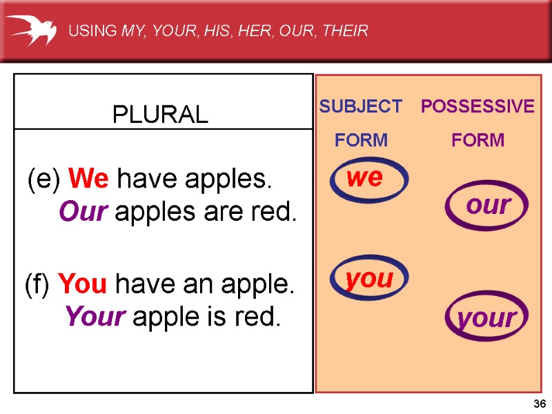 36 (e) We have apples.     Our apples are red. 